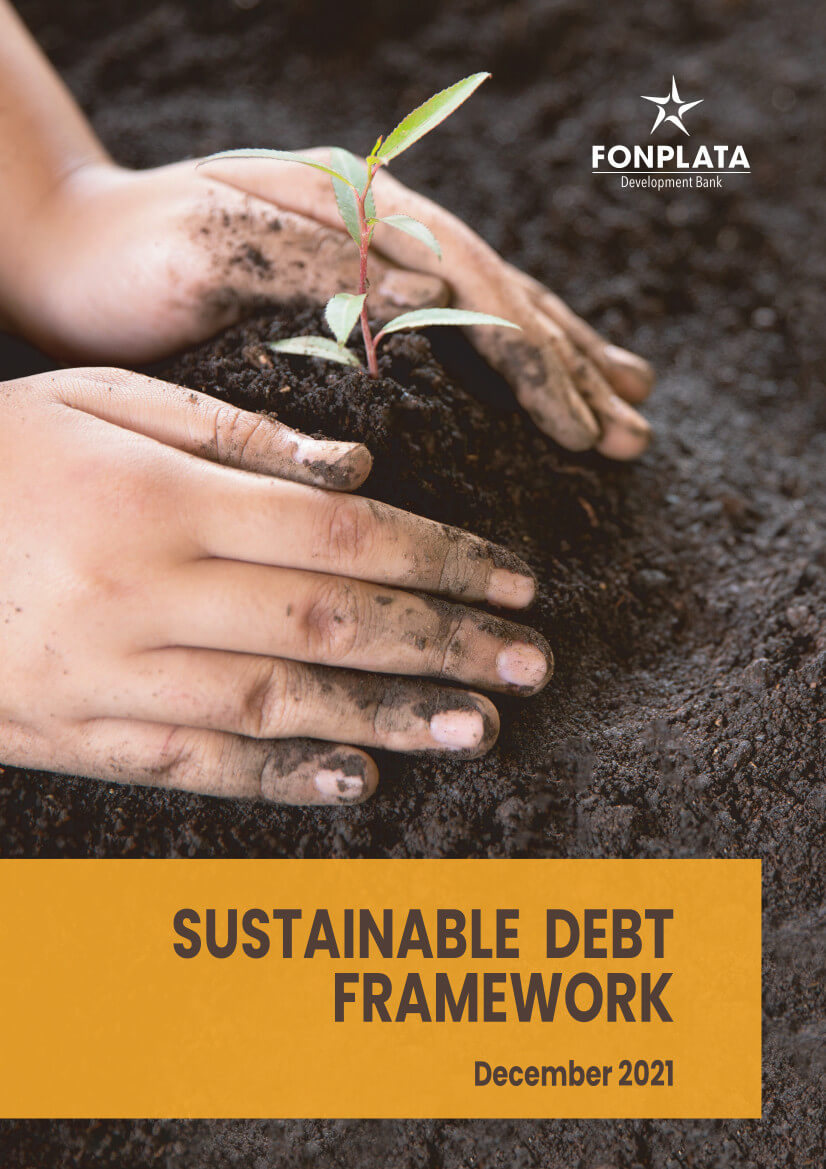 Sustainable Debt Framework