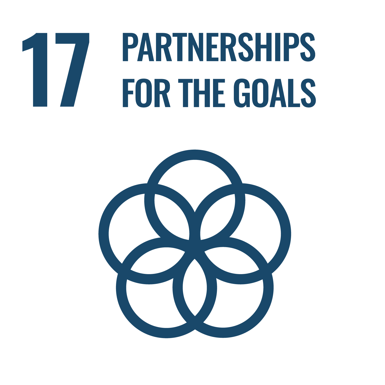 2030 SDG - Partnerships