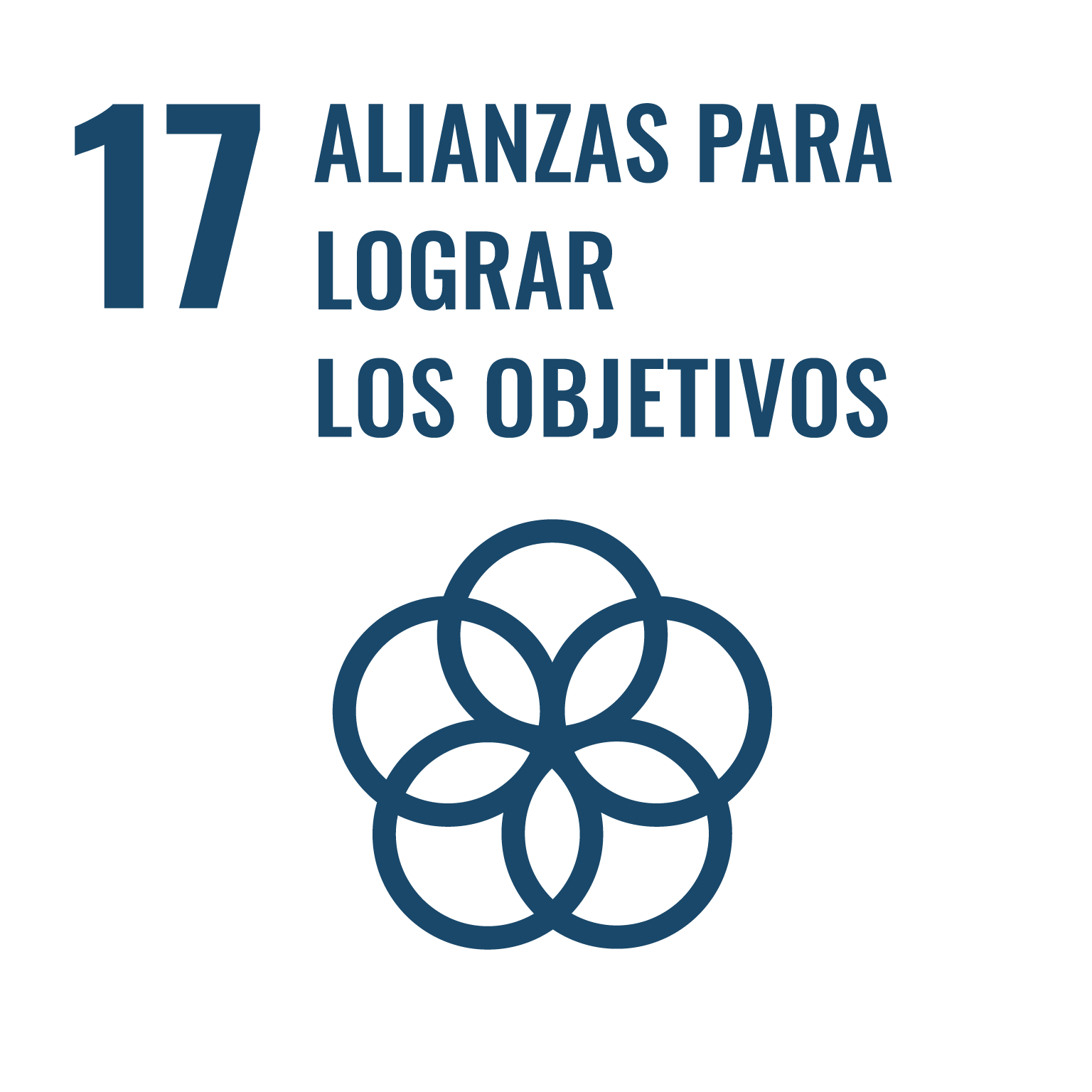 ODS 2030 - Alianzas para lograr los objetivos